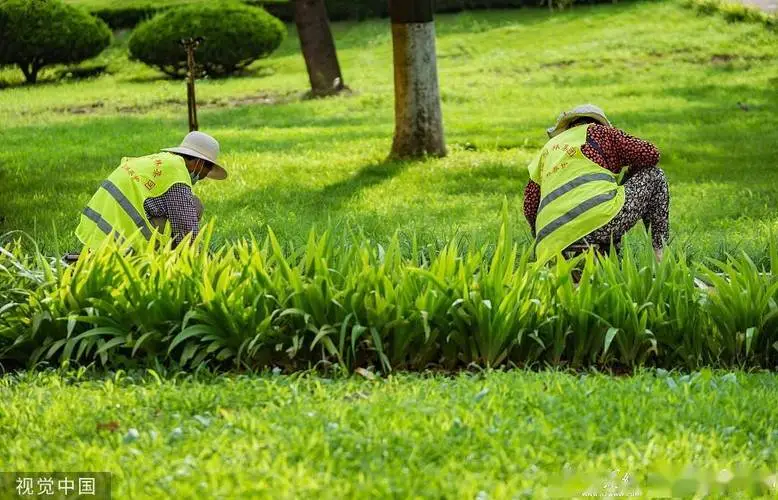 大平层进门园林景观设计