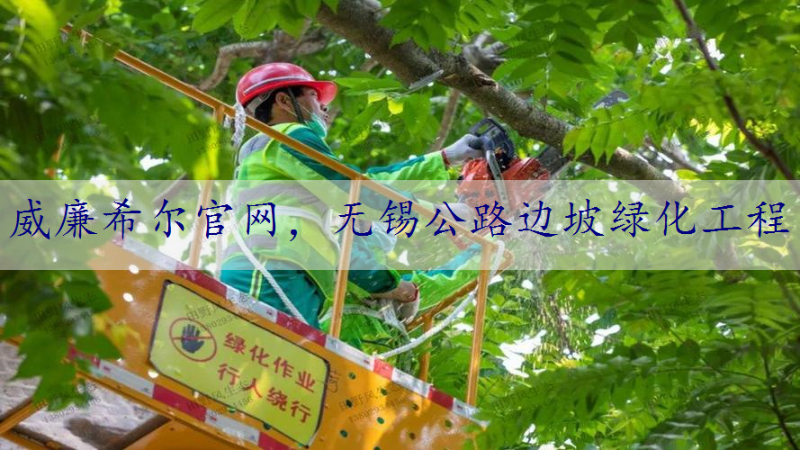 无锡公路边坡绿化工程