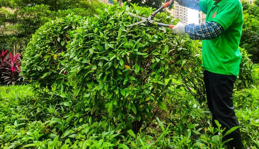 1000平水景园林景观设计