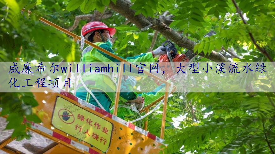 大型小溪流水绿化工程项目