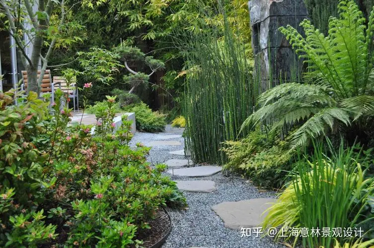 公园园林景观设计植物分类