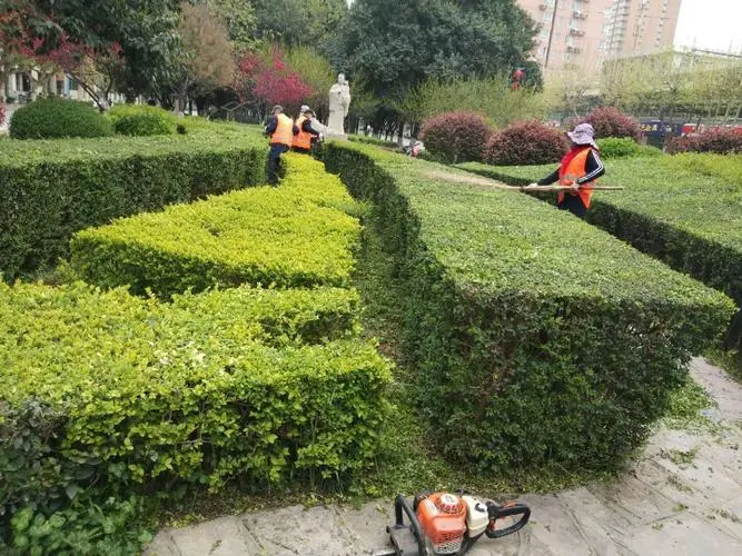 延河绿化工程